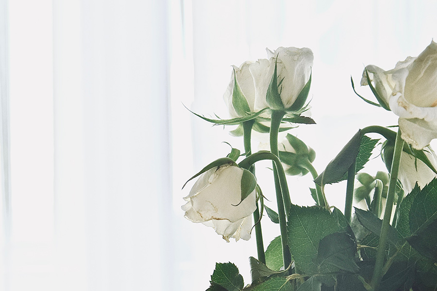 日本生命、自動車保険特約からのご紹介でした。交通事故により、口からの食事が全然出来ないで、体重はやせ細くなり、骨と皮になってしまいました。病院では、医師が勝手に病死だと書かれ、私も納得できず、くやしい思いをしてました。きさらぎ弁護士さんは、長い間、常にご勉強、ご努力、ご苦労事も一生懸命取りくみしていただいて、やっと18ヶ月後、結果を出していただいて感謝申し上げます。ありがとうございました